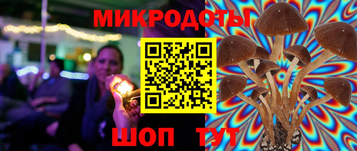 Псилоцибиновые грибы Cubensis Серпухов