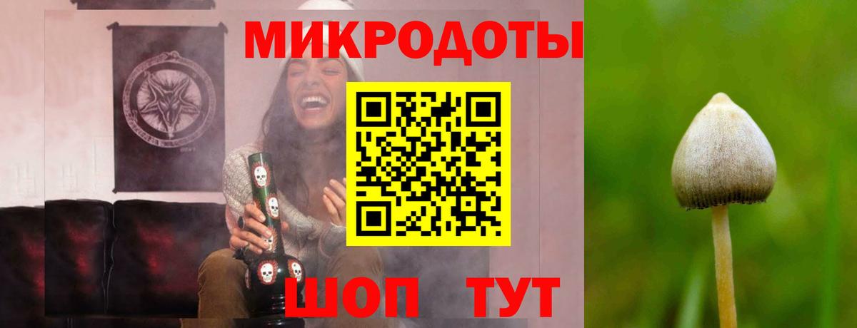 Псилоцибиновые грибы прущие грибы  Вход с VPN  Серпухов 